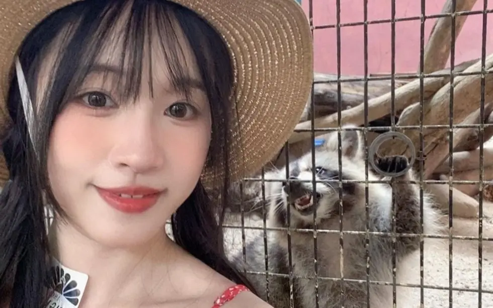 苏畅vlog视频大全-高清1080p在线观看-最新无删减版全集免费看